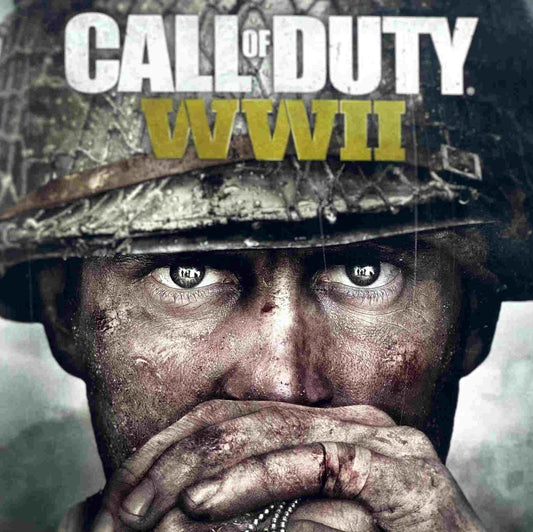 PlayStation 4 Videospiel Call of Duty World War 2 Hülle von vorne