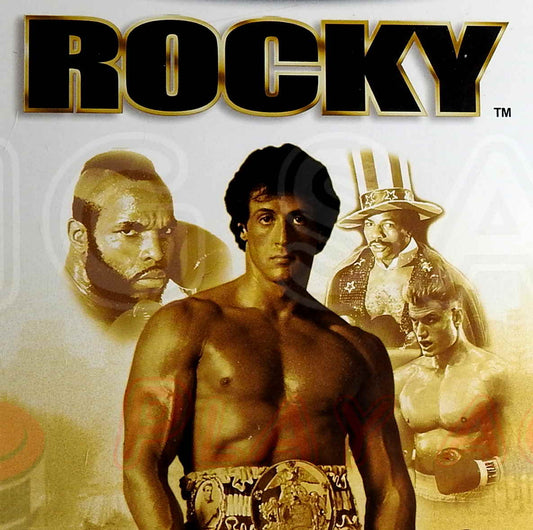 Nintendo Gamecube Videospiel Rocky Hülle mit Anleitung und Disc